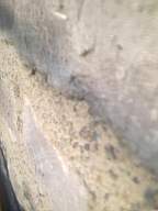 millstreet 12480.jpg
